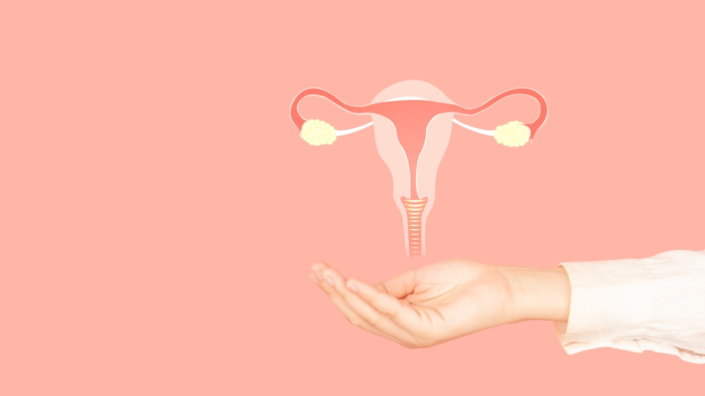 乳がん、子宮頸がんについて